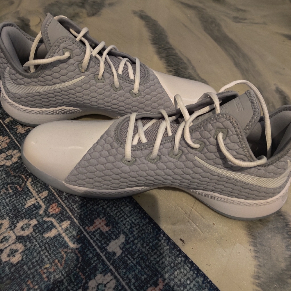 LeBron Witness III